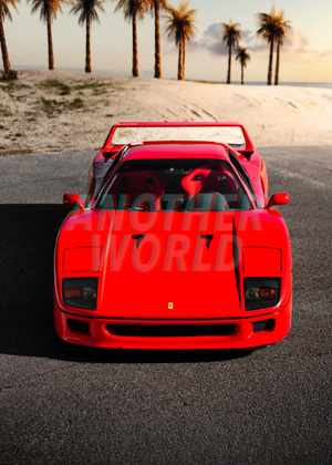 F40 PALMIERS